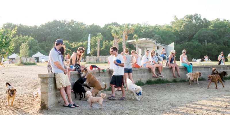 Charleston Magazine | Off-the-Dock Dog | Charleston SC