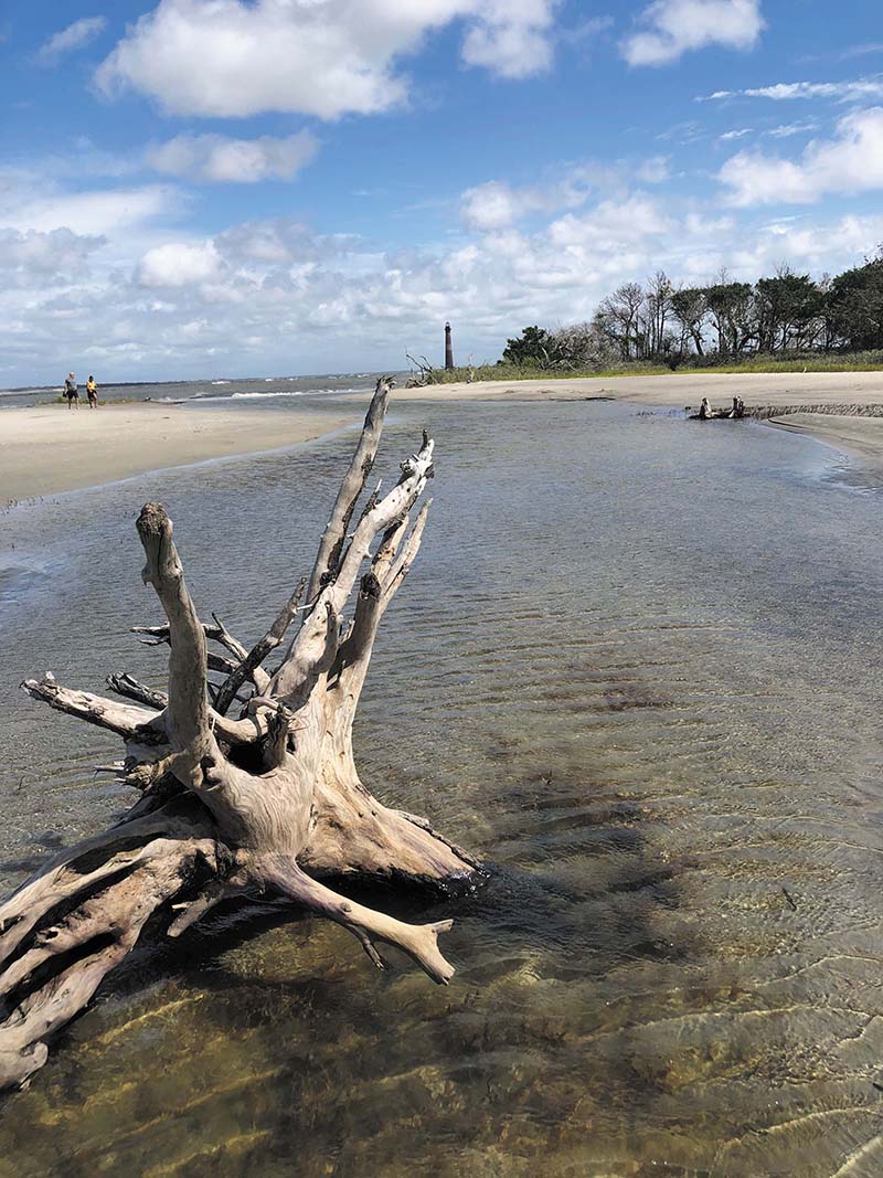 Time your visit to Lighthouse Inlet Heritage Preserve for low tide, so you can take a long walk on Rat Island. Photo credit: Mel Smith Monk
