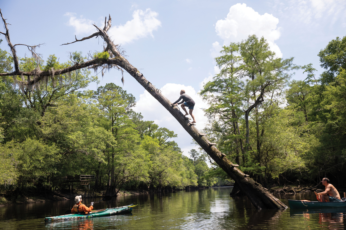 Day 3: South of Kingstree, Co takes his chances with the rotting planks held in by rusty nails to make a splash.