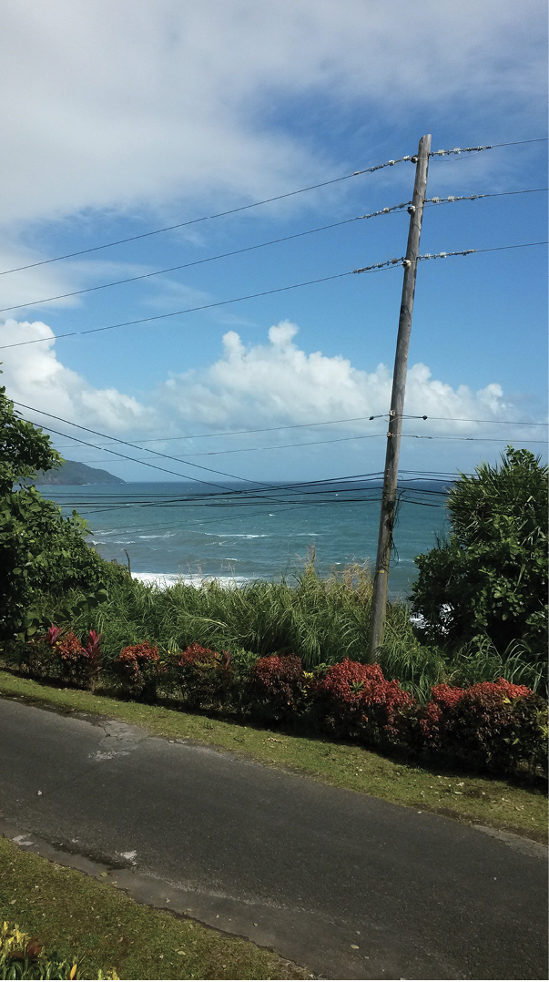 The coast of Dominica, where Dennis visited on his way back from a research trip in Trinidad and Tobago