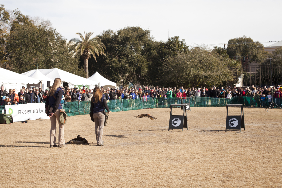 Charleston SC Southeastern Wildlife Exposition Charleston Magazine