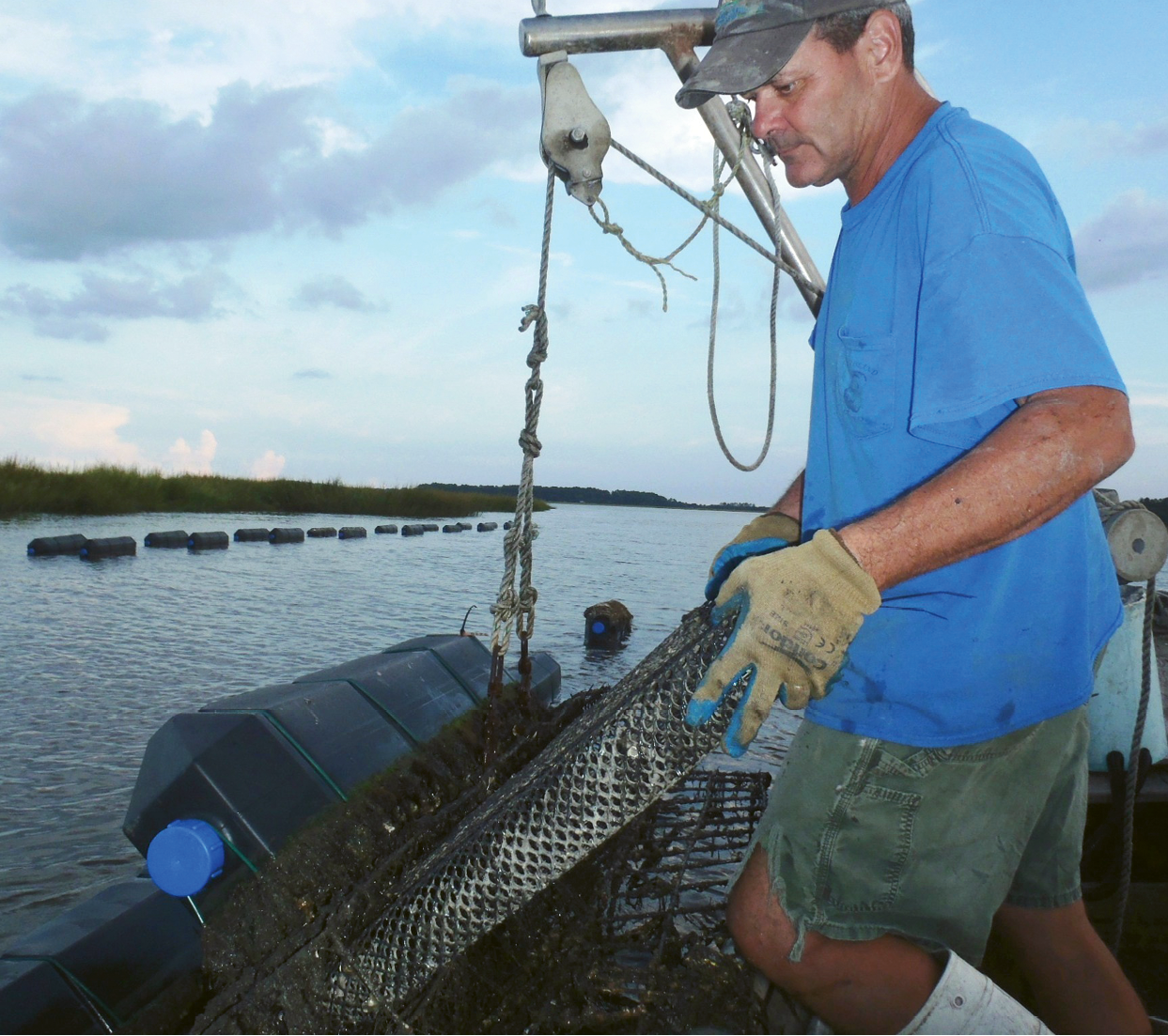 Frank Roberts of Lady’s Island Oyster launched South Carolina’s first and only oyster hatchery (above left); in addition to growing his own singles in the deliciously high salinity of Beaufort’s tidal estuaries, he supplies growers up and down the coast with baby oyster seed.