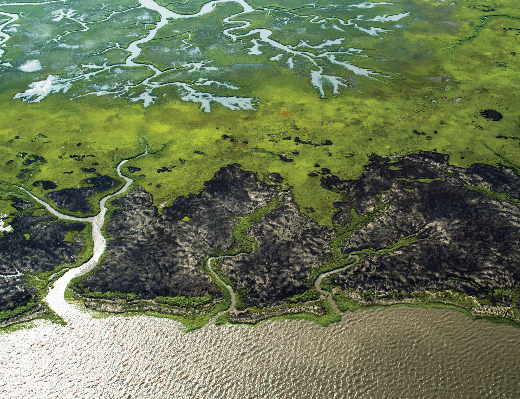 Coastal Wetlands Meet the Ocean (Winyah Bay National Estuarine Research Reserve; July 2, 2015)