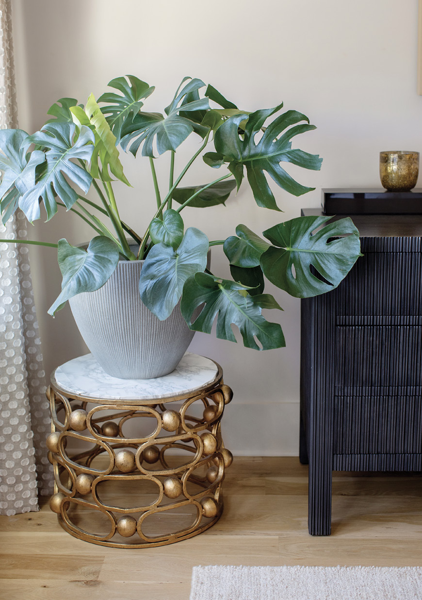 and Ro Sham Beaux table-turned-plant stand, offer a little luster.