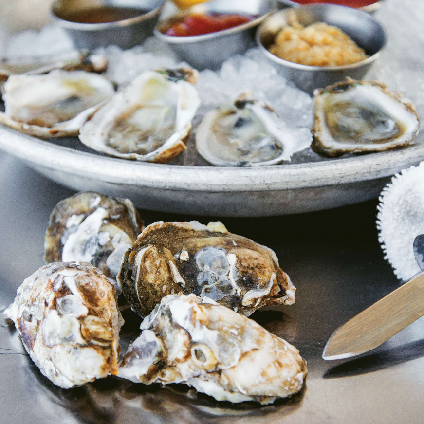 How to Shuck Oysters Like a Pro | Charleston SC ...