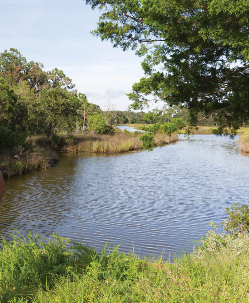 “We’ve had an environmental stewardship vision for this land since purchasing it in 1995.” —Jeff Snyder, Kiawah River chief environmental officer