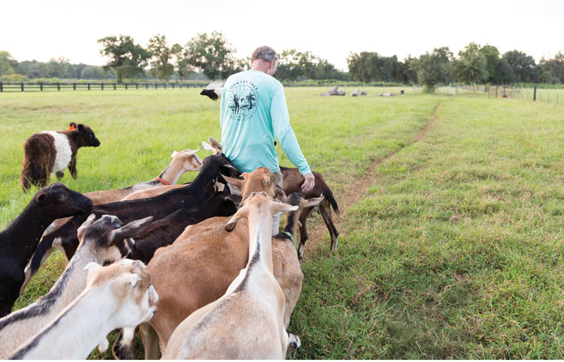Kidding Around: Danny Sillivant leads the herd that stole his heart and led him to shift from a career in real estate to goat farming. The Goatery welcomes visitors to meet and mingle with their friendly livestock.