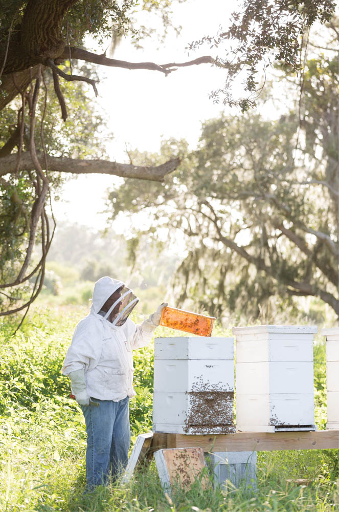 Sweet Buzz: Chuck Hudspeth checks the farm’s hives, home to many happy honeybees, thanks to the wide range of native and cultivated pollinator-attracting plants and flowers on the property.