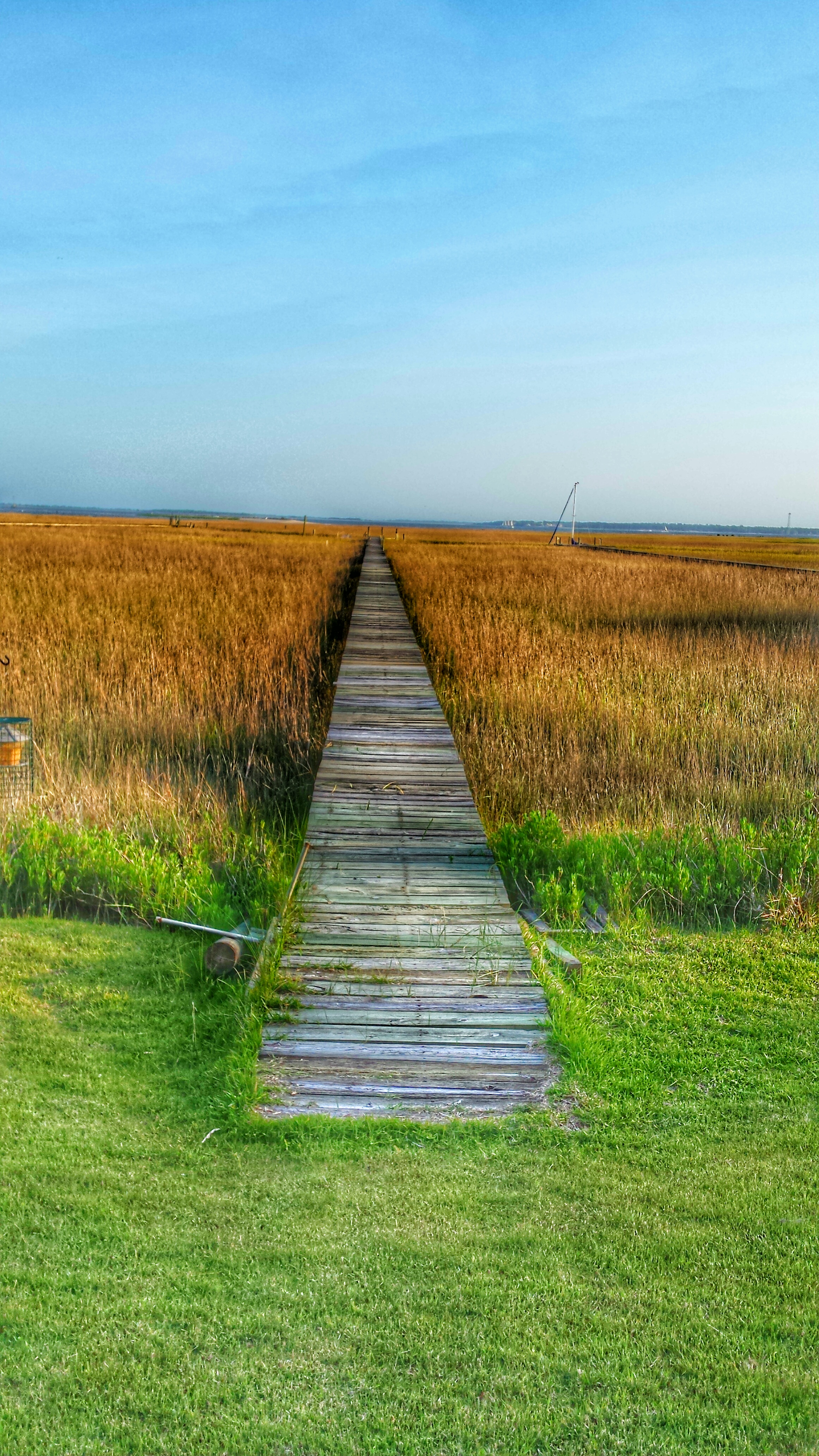 FINALIST Amateur category: Adventure by Minta Pavliscsak; “This is in Mt. Pleasant at a private residence. This was taken late April 2016, early evening. This is a very special spot for me. This was home for a couple of days, and where I celebrated my birthday with a dear friend.”