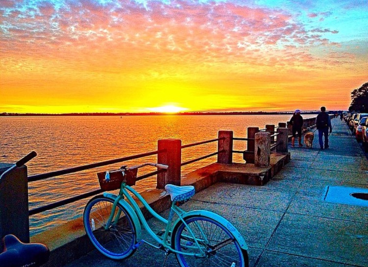 HONORABLE MENTION Amateur category: Battery Sunset by Emily Deal; “I took this photograph (with my iPhone) on January 29, 2015 at the Battery around 5:45 p.m. My roommate and I stopped our bike ride to admire the beautiful sunset. We enjoy taking bike rides to the Battery, even during cold weather, because Charleston&#039;s historic architecture never gets old! The Battery is the perfect setting to watch the sunset. You never see the same sunset twice, so I&#039;m glad I captured this particular one.”