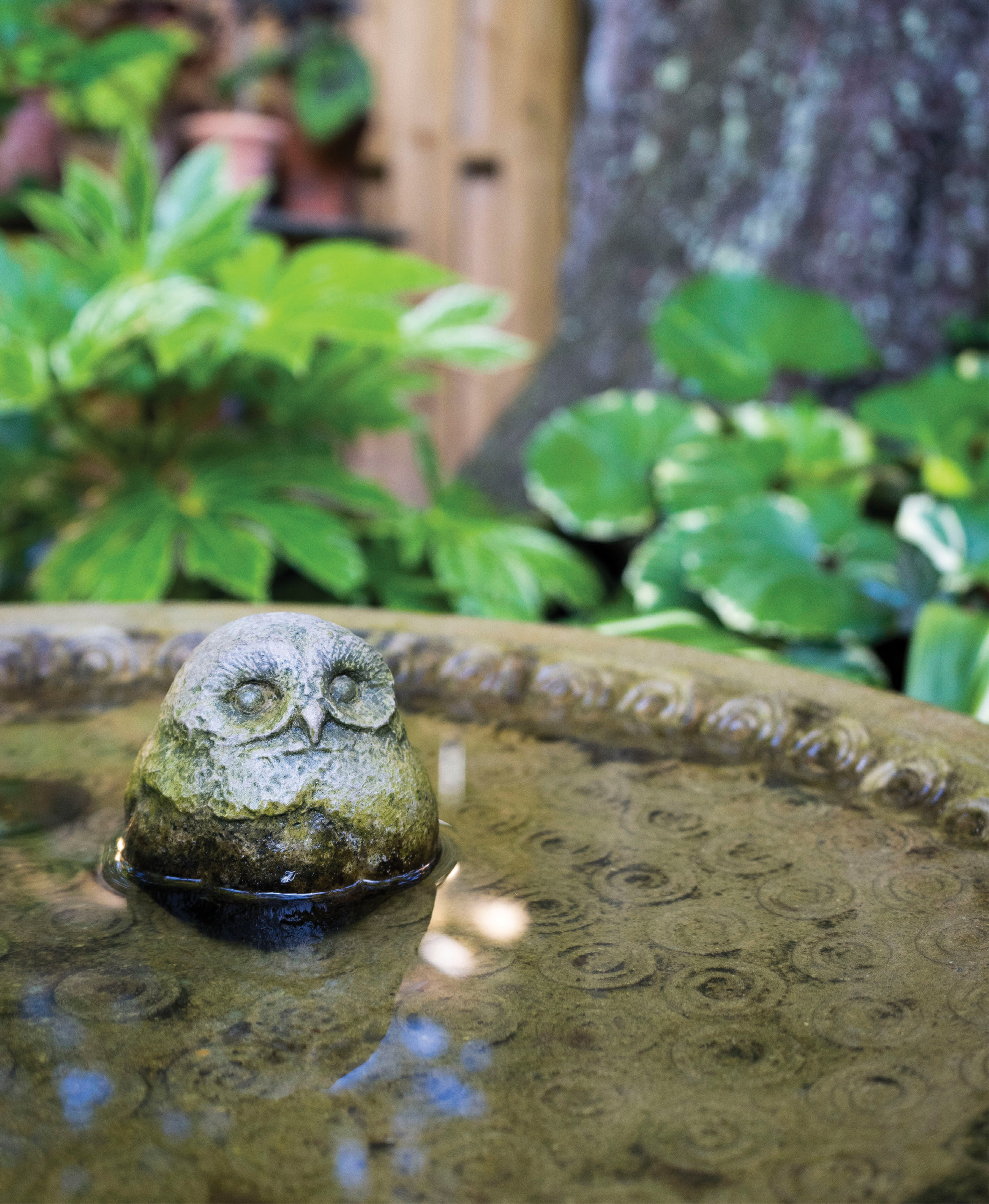 Cool Spot: A stoic owl peers from a birdbath perch.