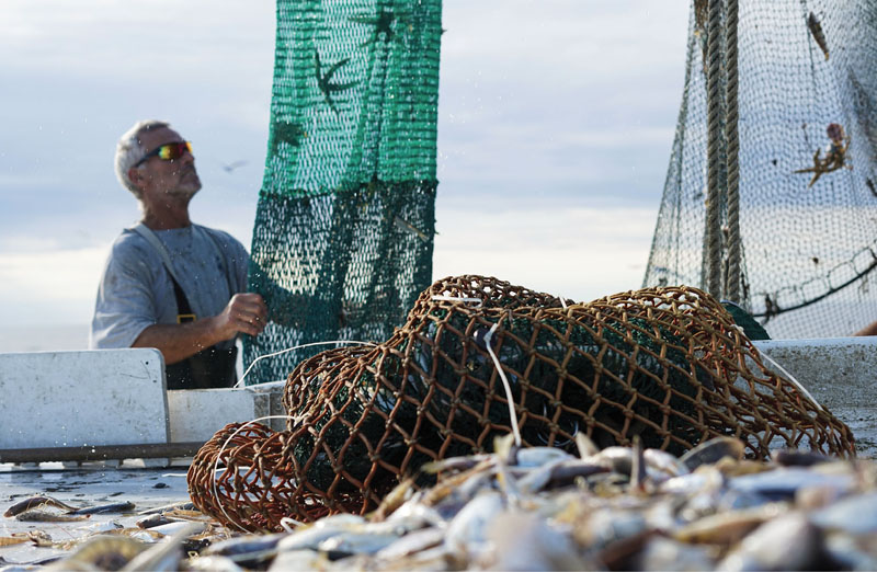 Shawn assesses the bycatch, soon to be tossed back into the deep.