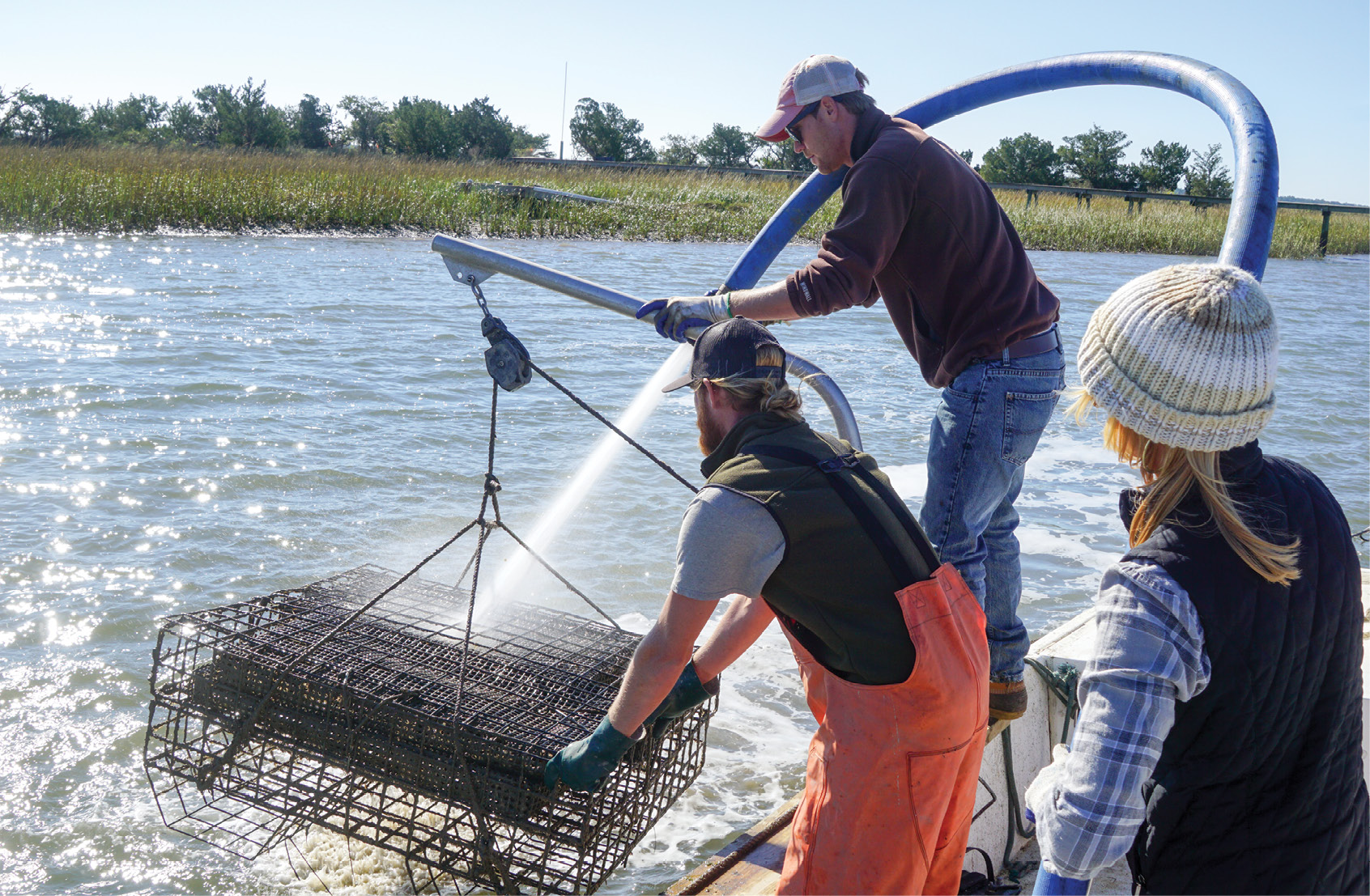 Charleston Oyster Farm’s Peter and Thomas Bierce and Caitlyn Mayer blast the cages of their oyster singles with water straight from the Stono River.<br /> 