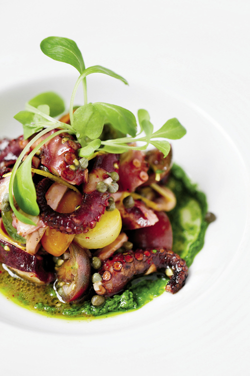 An octopus and heirloom tomato salad