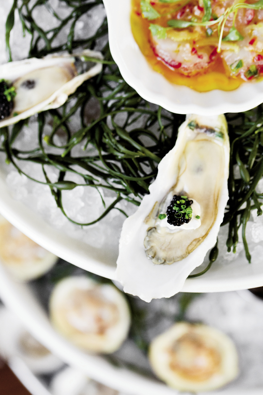 Clammer Dave’s pristine Caper’s Blades oysters make appearances at fine restaurants all over town—with caviar at Charleston’s The Ordinary