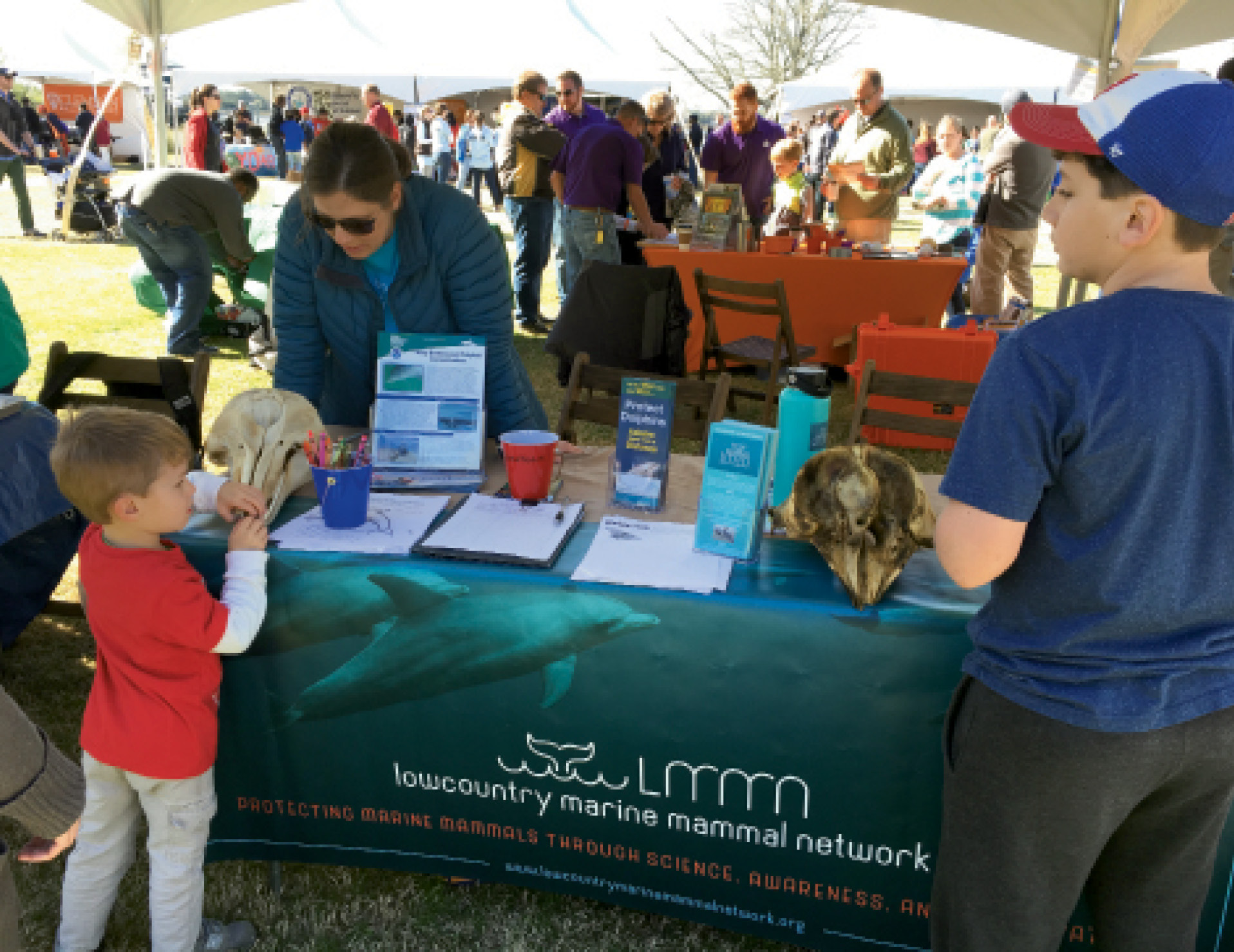 Lowcountry Marine Mammal Network (LMMN) volunteers coordinate beach patrols and various outreach programs to educate the public about dolphin protection.