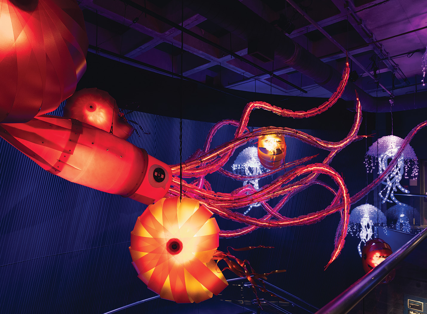 To Charleston Charleston Magazine Charleston, SC