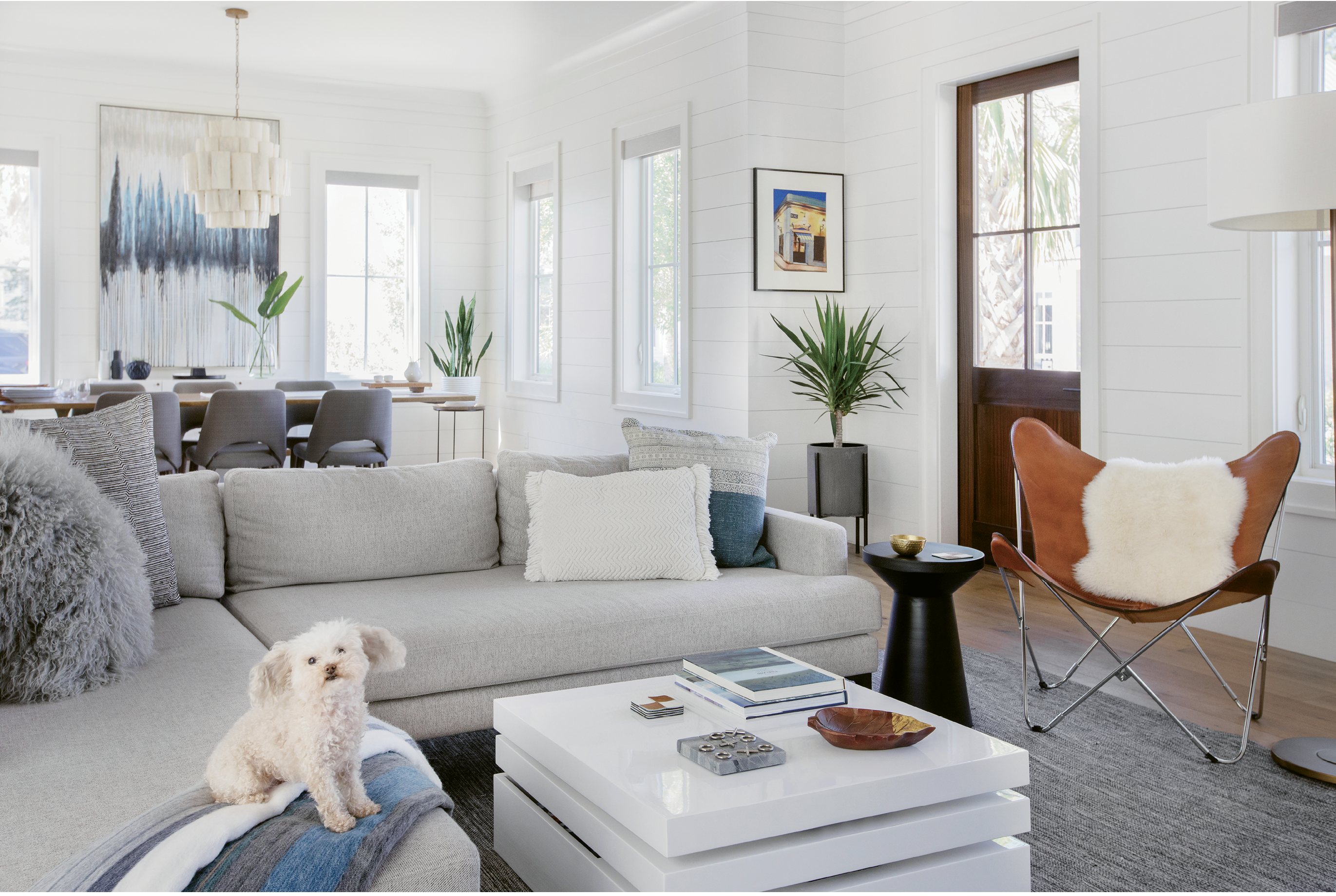 Wide-Open Spaces: Shiplap walls painted in Benjamin Moore’s “White Dove,” oak floors, and reclaimed beams set the stage for the open living area, including a cozy sectional sofa from West Elm where Mia the Maltipoo relaxes among pillows from Lyndon Leigh.