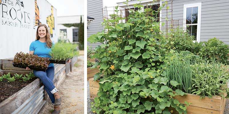 Garden Guru Charleston SC Charleston Magazine