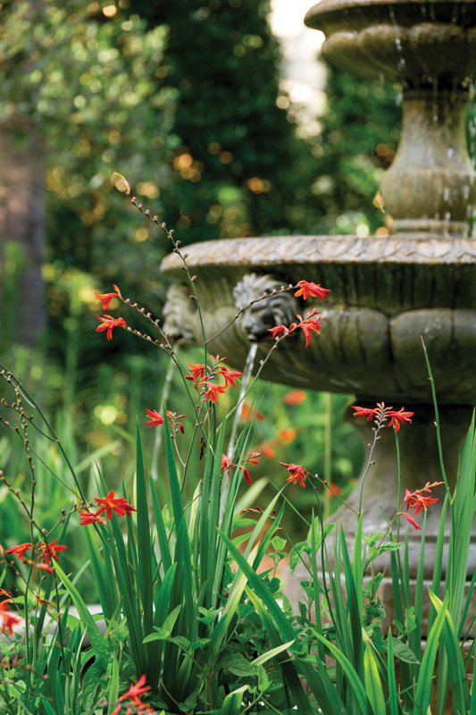 Crocosmia blooms around the fountain amid daylilies and liriope.