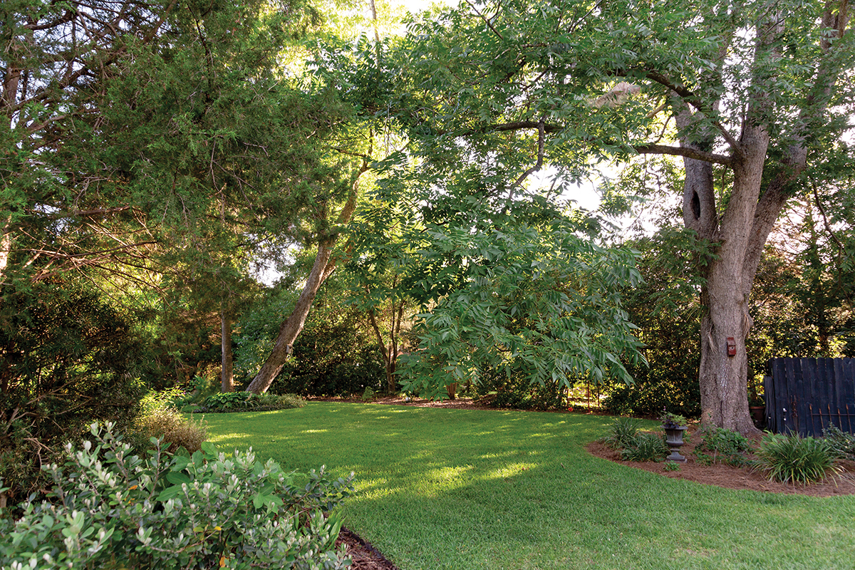 “I use lawn as area rugs,“ says Susan, who is always working to slice out grass in favor of more varied—and more beneficial—plantings.