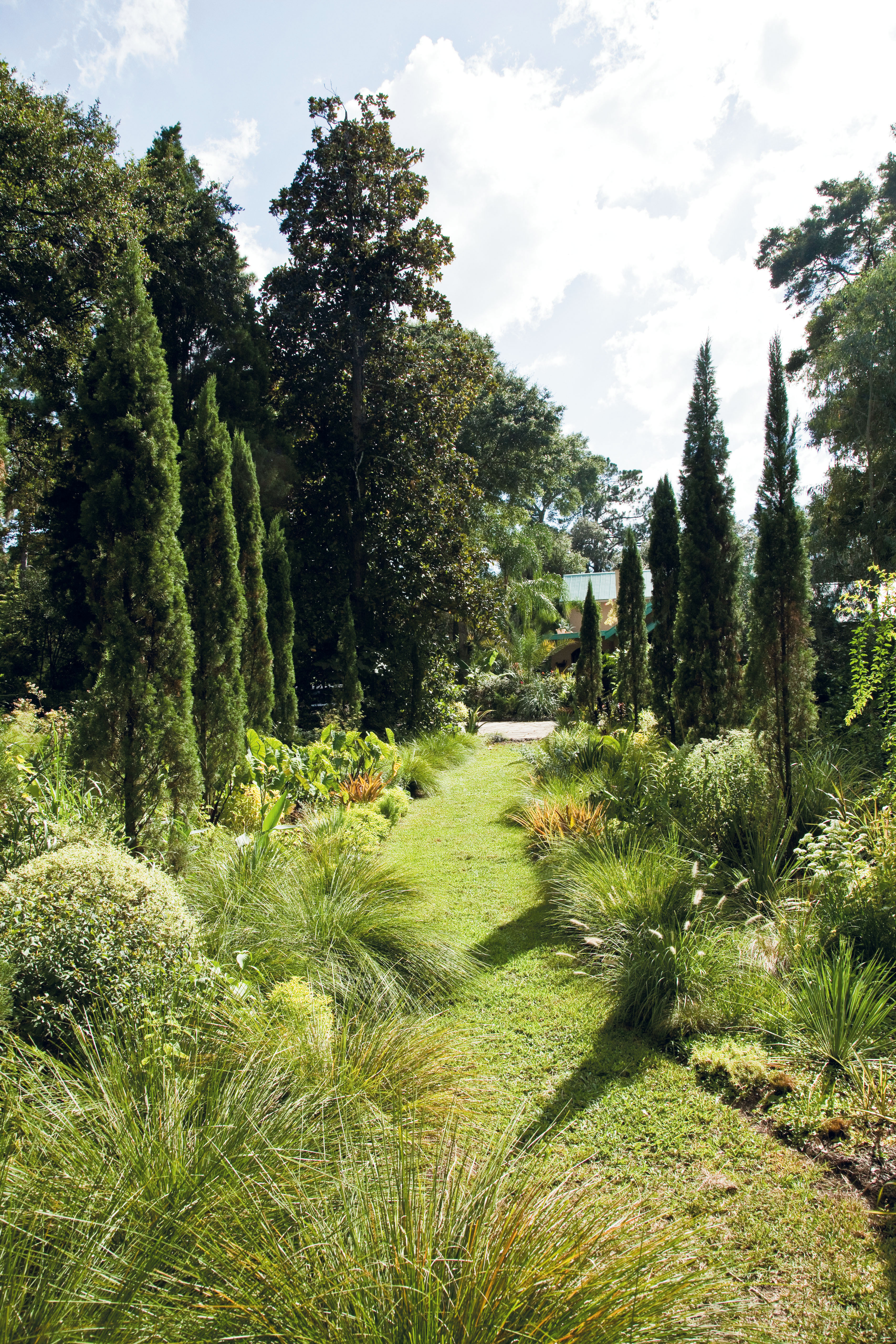 Lined by towering Italian cypress, this garden once hosted thirsty flowers, like hydrangeas. These days, grasses, including these Lomandra longifolia ‘Breeze,’ steal the show. “I think they are under-appreciated,” says Gonzaléz. “They are evergreen, easy to grow, and don’t need much once they are established. We love them.” The space that Smeal designed to be calm and meditative now concludes in a grasses garden of undulating Liriope muscari or Aztec grass.