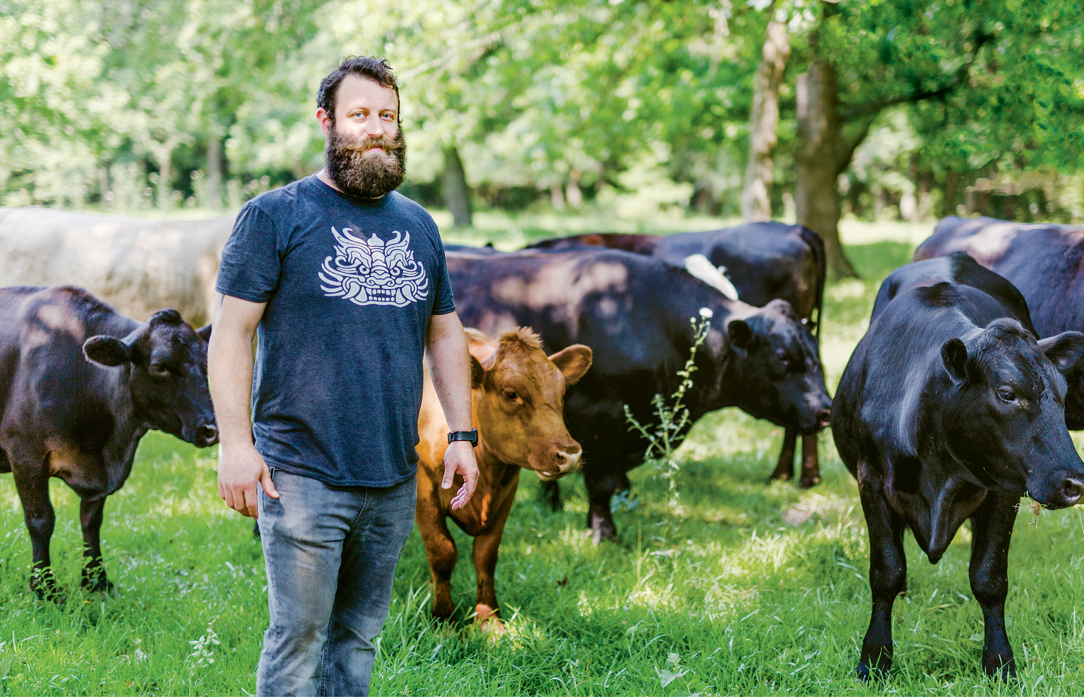 Perfect steering: Chef Bob Cook amidst  grass-fed cattle at Keegan-Filion Farm in Walterboro