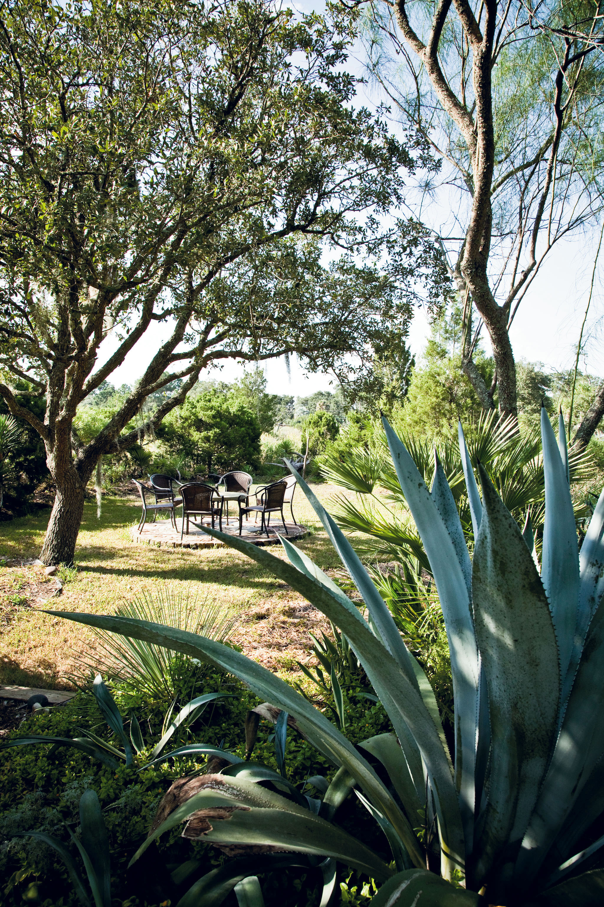 The stone terrace with potted agaves, aloes, and topiaries overlooks the back lawn, leading down to the marsh and their very own peninsula.