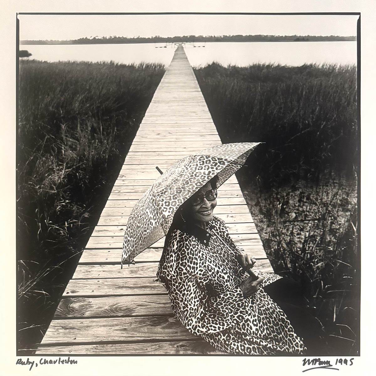 Portraits & Palmettos: Nigel Parry's Inspiring Journey in the ...
