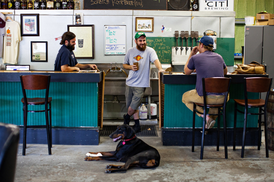 Tim Bettencourt, Chris Brown, and Sean Nemitz and Brewtus laying down in the tasting room.