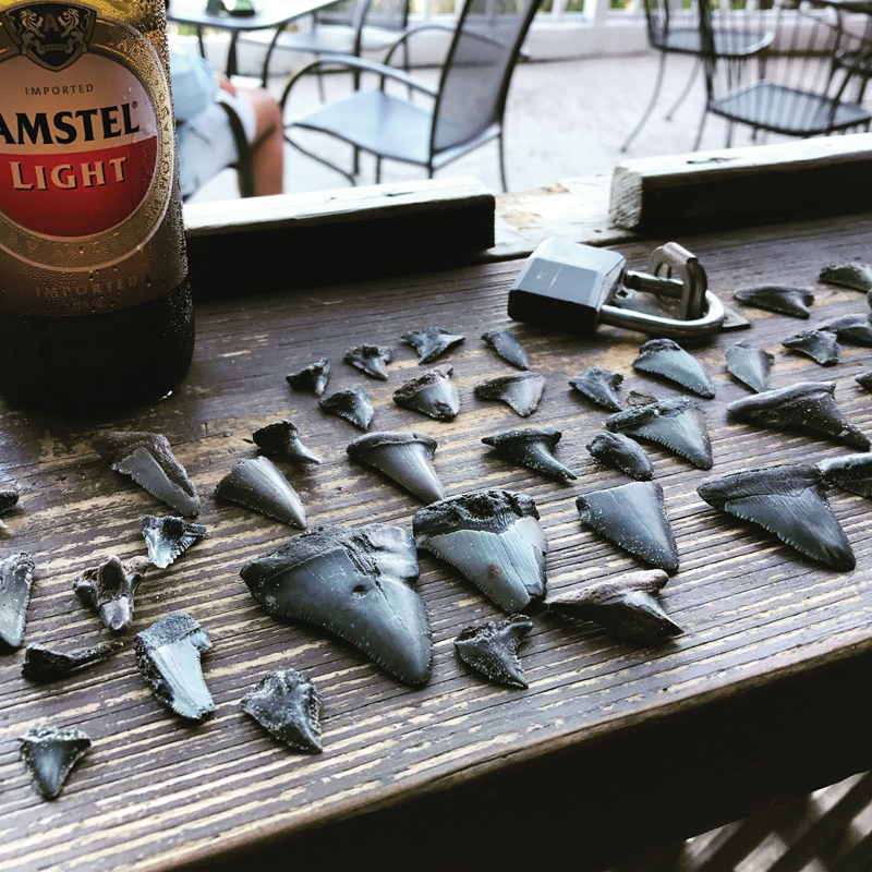 Shark Tooth Hunting: “I was raised on the beaches of South Carolina and cannot step foot on a sandy shore without scouring for these treasures.” —Ann