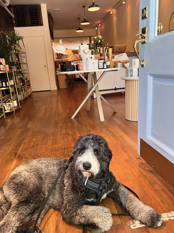 Shop Dog: “Teddy’s a sheepadoodle that I got right before we launched Sèchey. He’s in the store more often than not, and people recognize him on the street.”