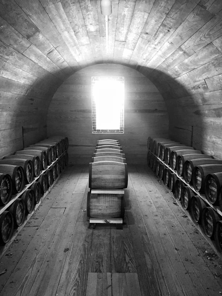HONORABLE MENTION Amateur category: Interior of Fort Moultrie Powder Magazine by Ashley Townsend; “Sunlight shining into the powder magazine on Fort Moultrie, August 2015”