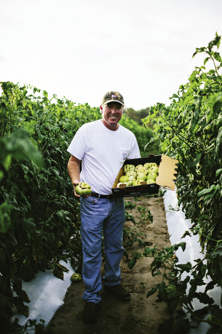 Shawn Thackeray has been growing his signature—and aptly named—“Wadmalaw Fuglies” at his farm on the island for 12 years. These are picked green for shipping to supermarket shelves. But don’t let their scarred looks fool you: Fuglies have a mild, sweet flavor and are well-balanced with acidity. Thackeray also produces a bounty of other tomatoes, including these colorful heirloom cherries.