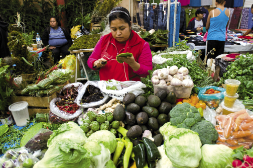 A vendor in the Mercado Ignacio Ramirez sells a bounty of fresh produce and snacks. The local fruits and vegetables in the covered market are varied and extremely fresh.