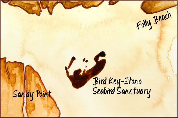 Bird Key-Stono Seabird Sanctuary