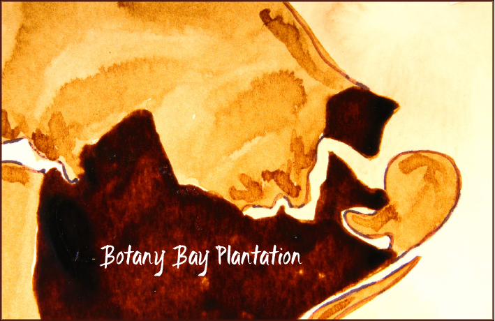Botany Bay Plantation Heritage Preserve/Wildlife Management Area