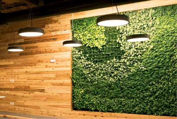 A green wall inside an 804 Meeting office space