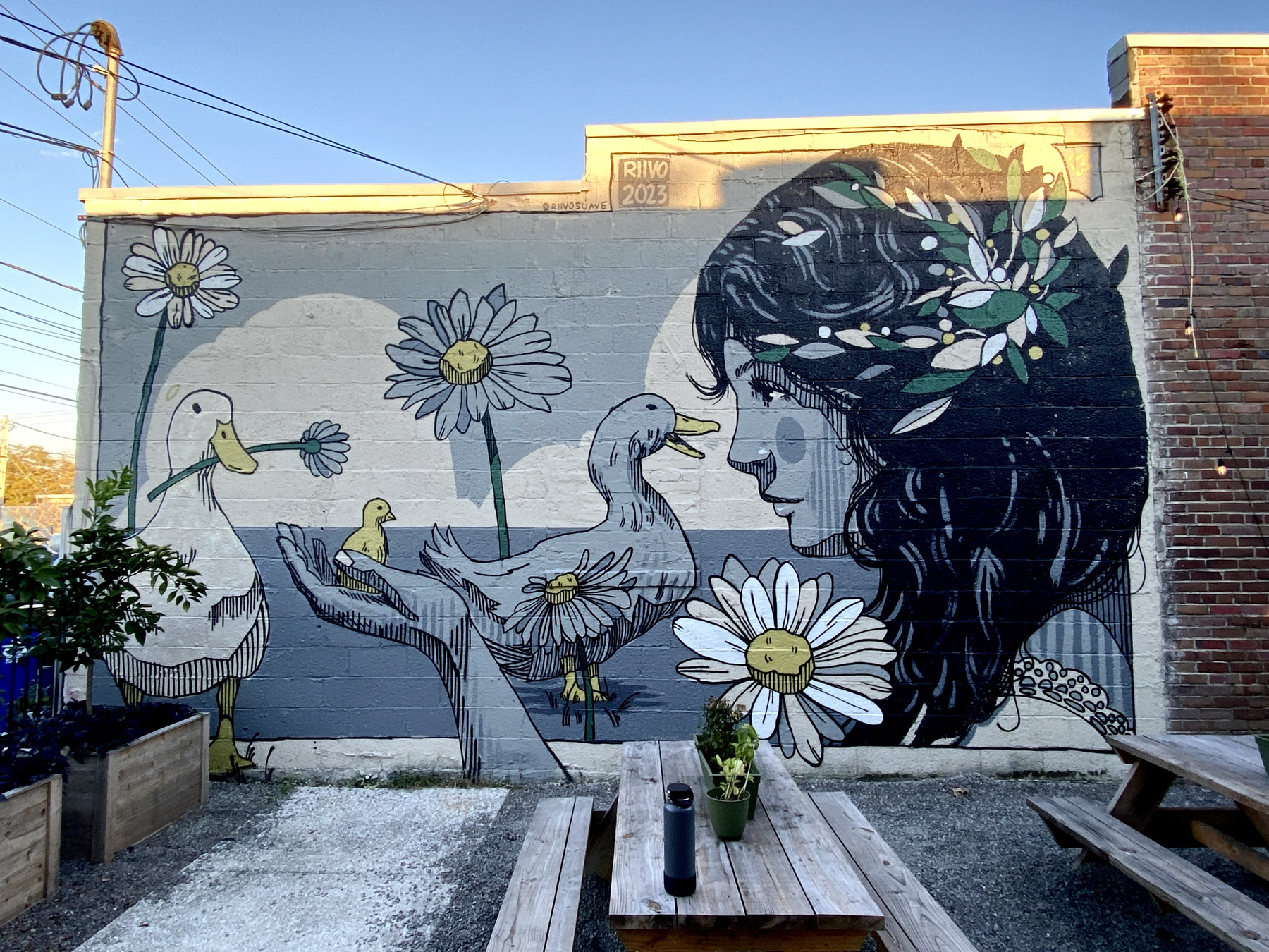 Odd Duck mural in Park Circle