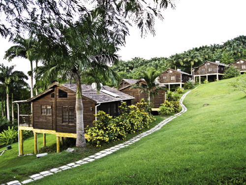 In the island’s interior, Lush Life Nature Resort’s cottages and the Caribbean restaurant Naniki are clustered on a secluded hilltop fringed by the rainforest.
