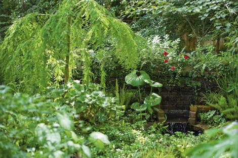 The garden’s “weeping wall”