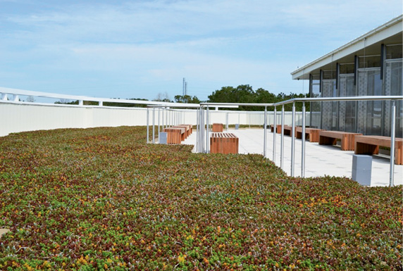 A Green Roof Outfitters system atop a Trident Tech building