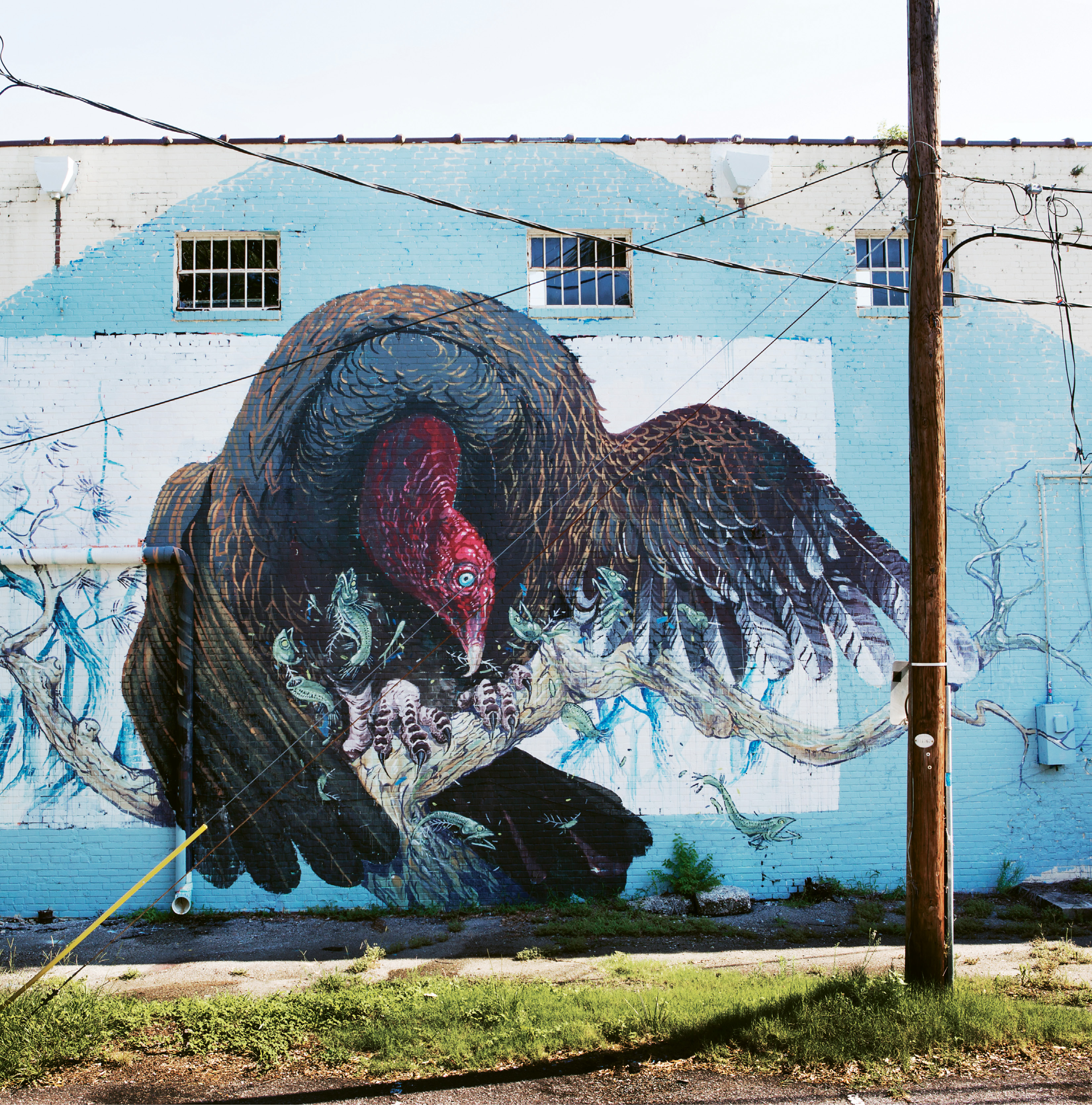 Turkey Vulture by Hitnes  August 2015  on Alycia Alley behind Children’s Cancer Society Thrift Store  (835 Savannah Hwy.)  working with ChART (Charleston Art) outdoor initiative &amp; gallery and enough pie, the Italian muralist produced this work during his journey across the U.S. retracing the steps of John J. Audubon.