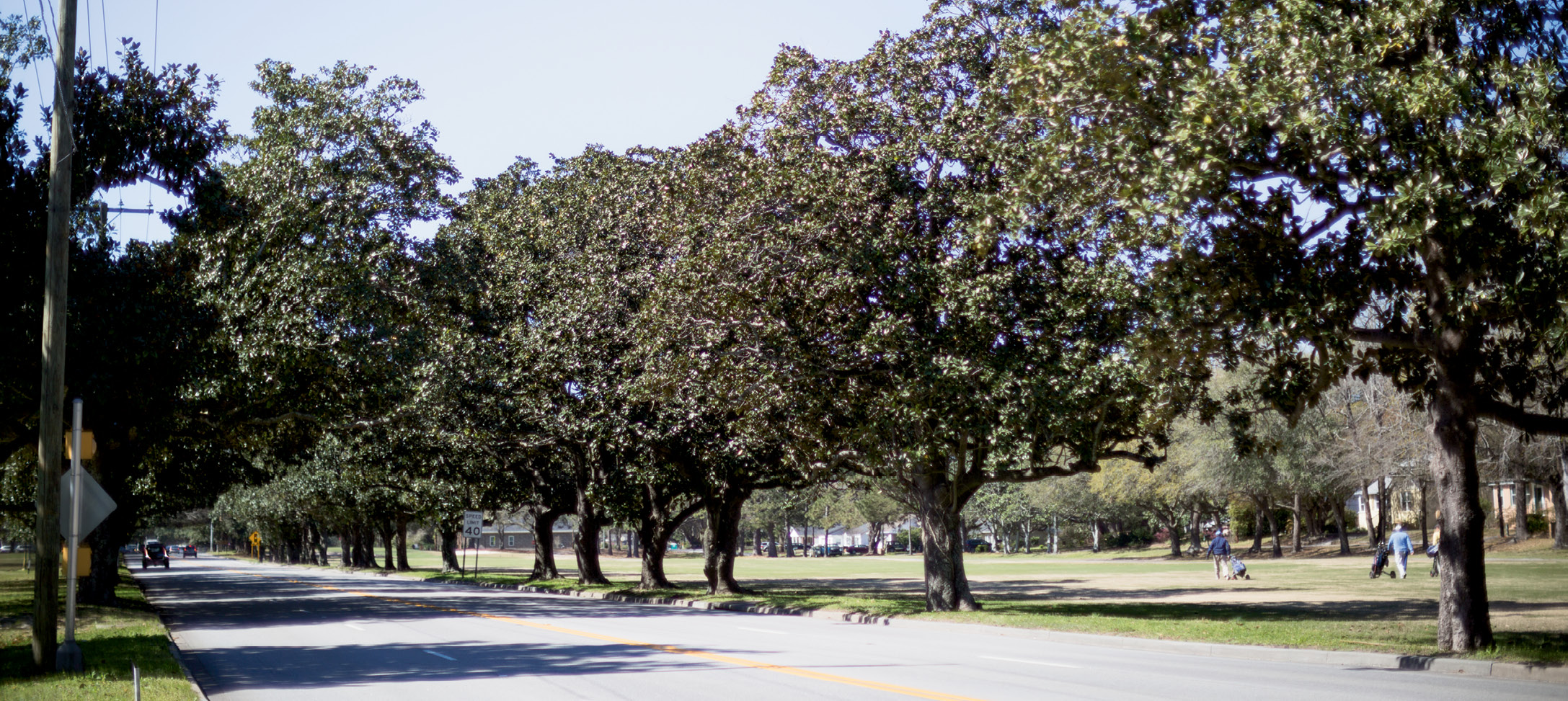 In 1935, Victor had 200 magnolias planted along Maybank Highway “to assure an avenue of loveliness for all who pass that way.”