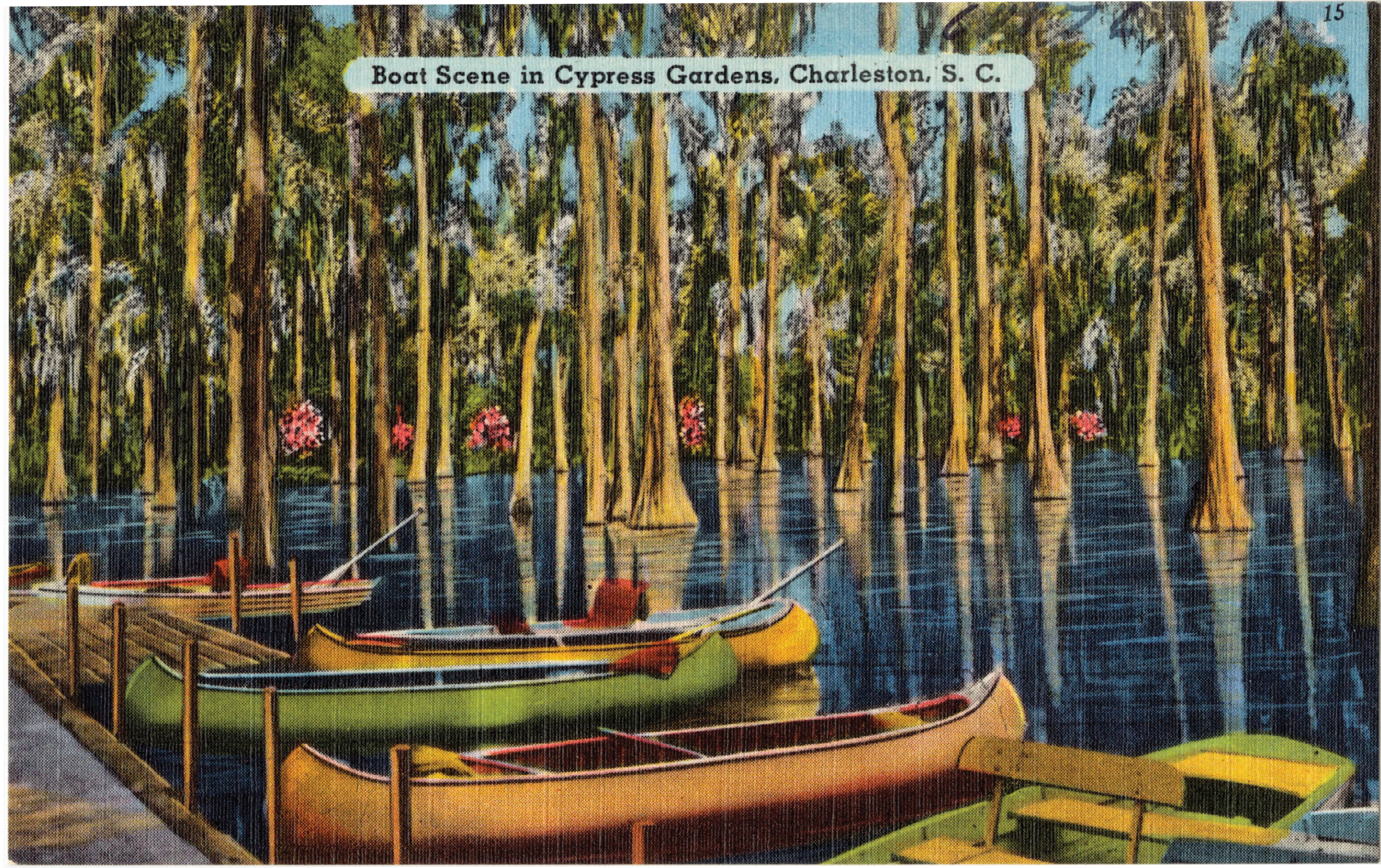 Boat Scene in Cypress Gardens: “23 miles north from Charleston are the Cypress Gardens of Dean Hall, a breathtakingly beautiful and most unique water garden. A canoe ride under the swaying moss hung tree is a delightful experience.”
