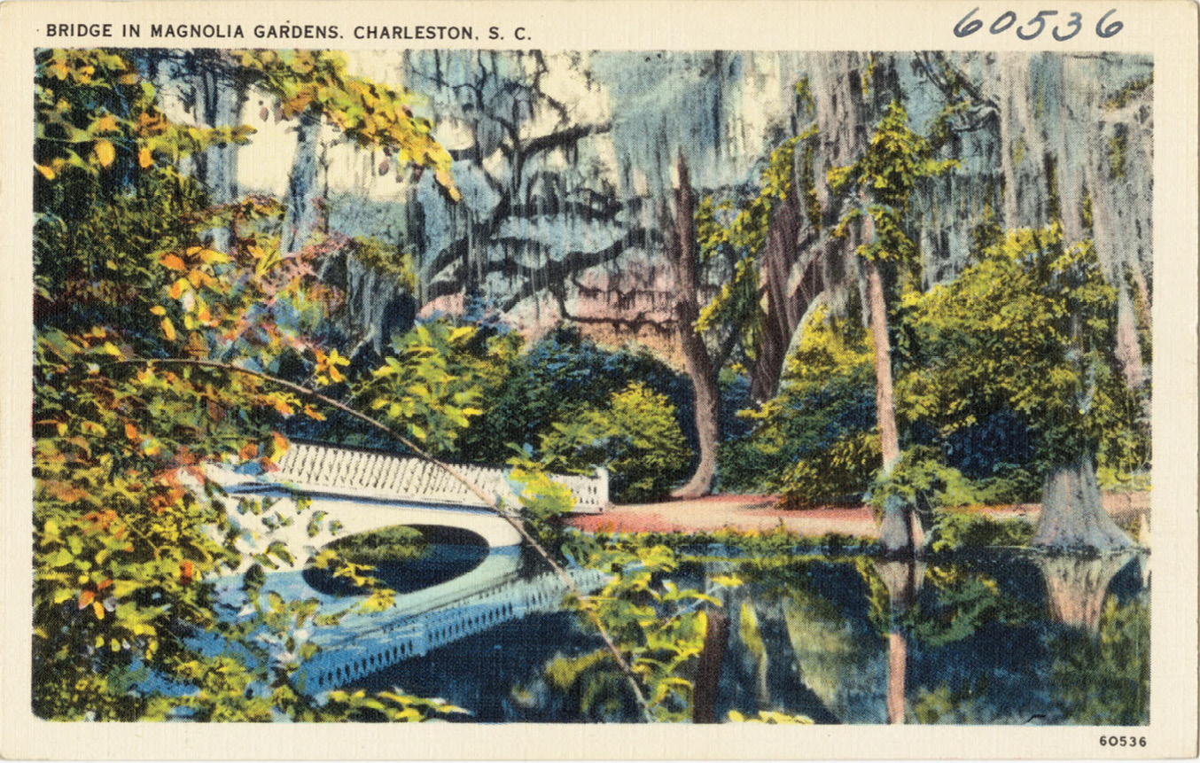 Bridge in Magnolia Gardens:“Magnolia Garden [sic], renowned as the most beautiful spot in the world, is noted for its wealth of azalea and japonica, also for its wisteria-covered trees and mirror-like lagoons.”