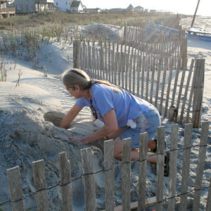 Welcome To Charleston| Charleston Magazine | Charleston, SC