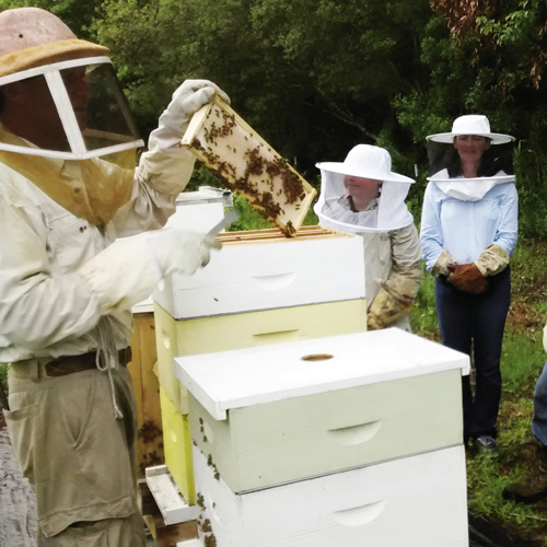 A beekeeping class at Blue Pearl Farms