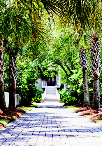 Island Hopping: An avenue of palms sets an  orderly tone for this revamped beach house.