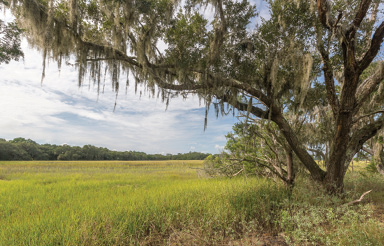 Good Country People: “My favorite part of the Lowcountry is Wadmalaw—it’s as country as can be and feels like home.”